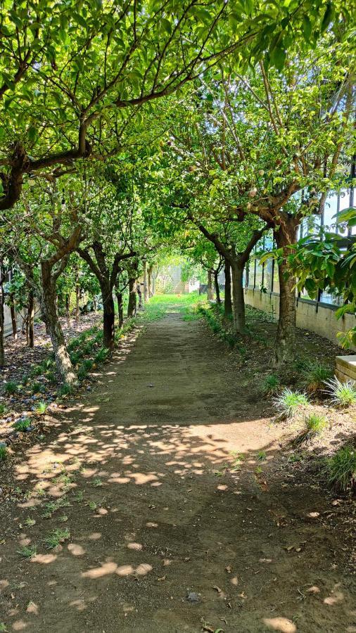 B&B D'Avino 파가니 외부 사진