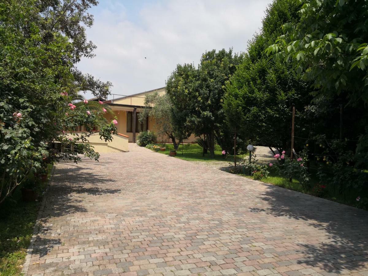 B&B D'Avino 파가니 외부 사진