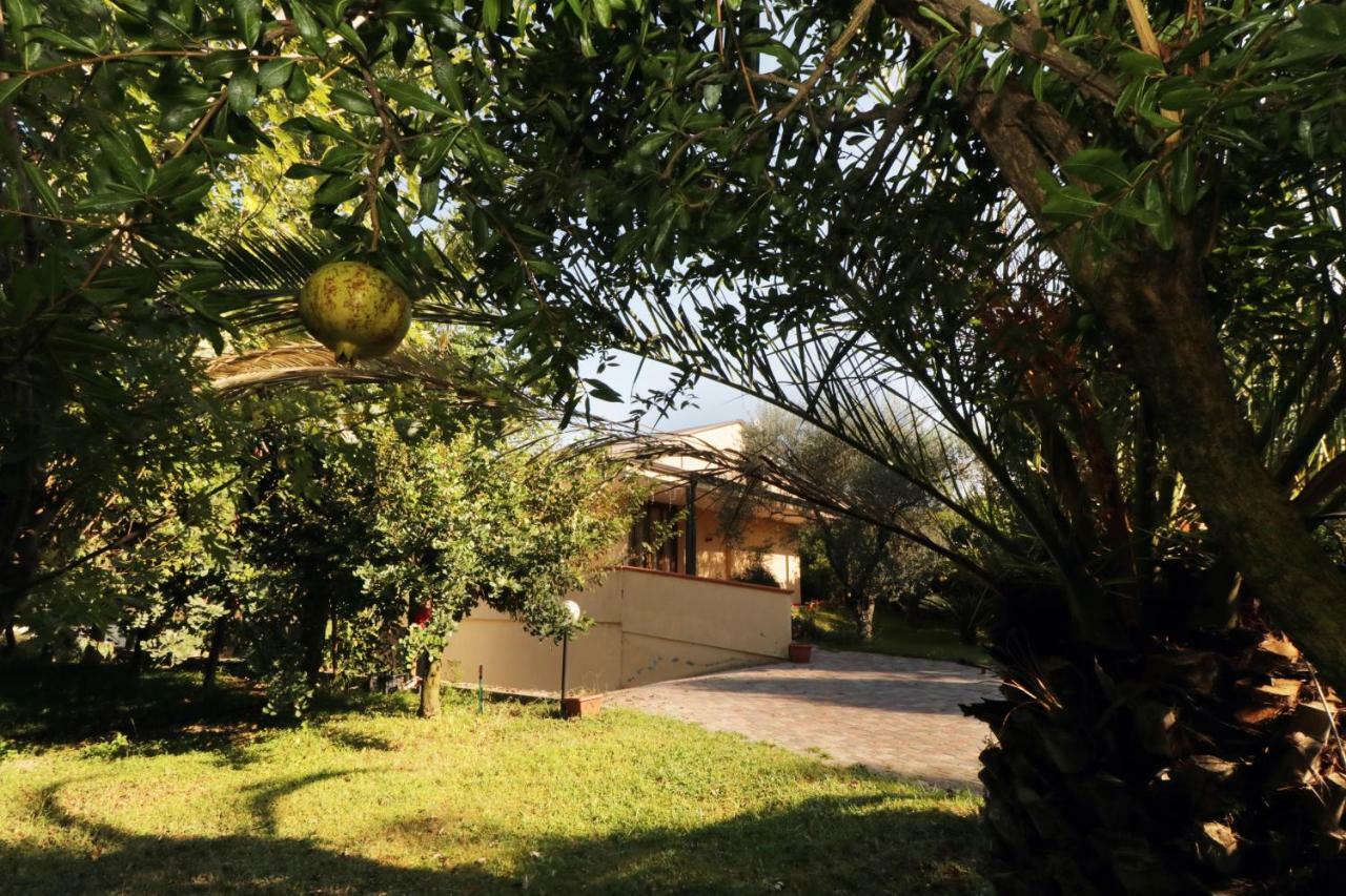 B&B D'Avino 파가니 외부 사진