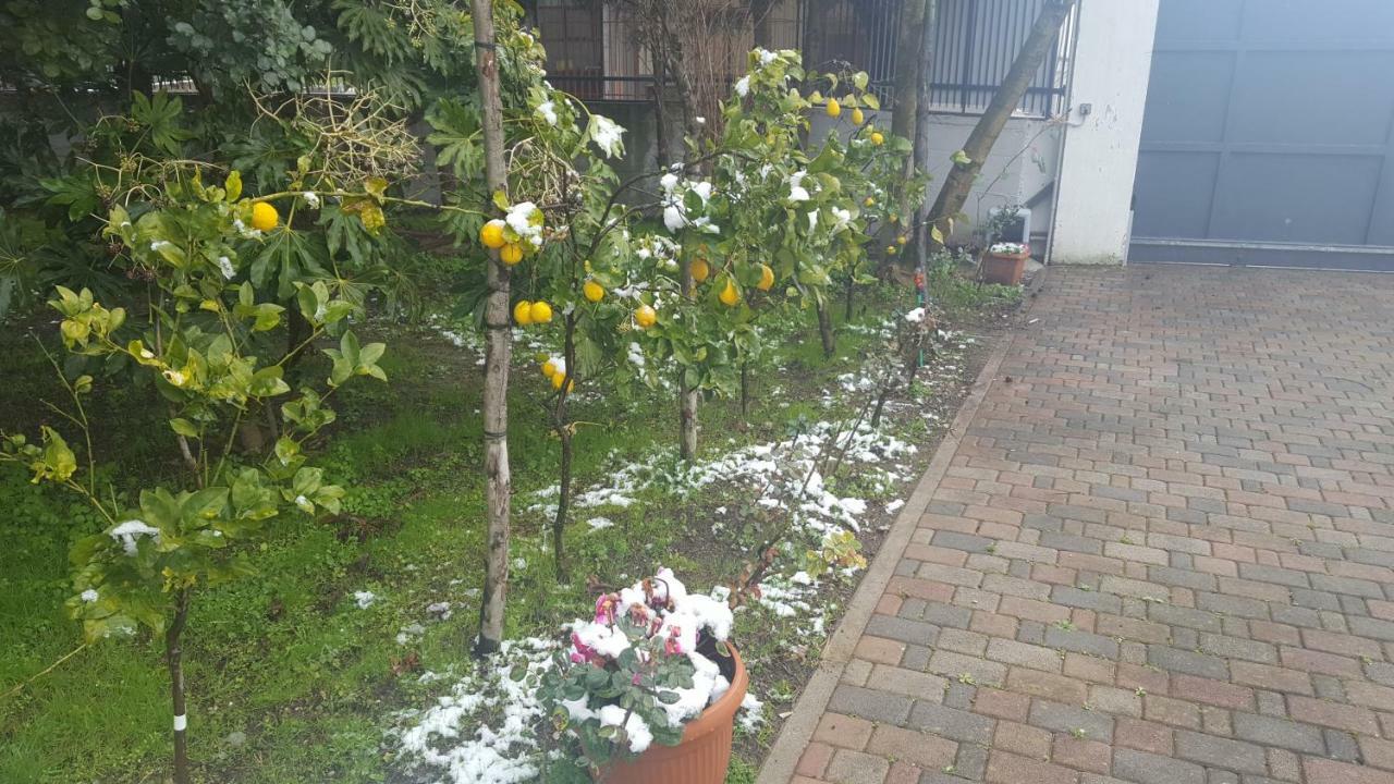 B&B D'Avino 파가니 외부 사진